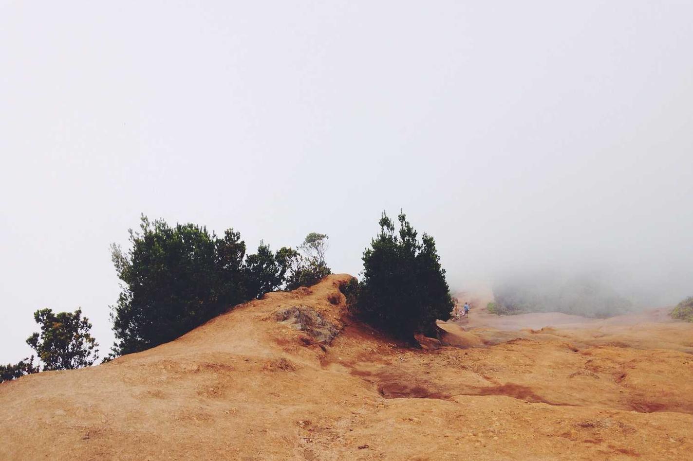 Facilis nobis non ex dignissimos